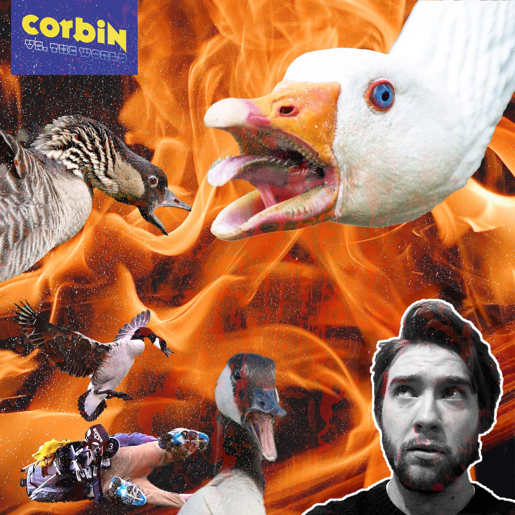 Corbin vs. Geese