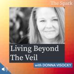 Living Beyond the Veil with Donna Visocky