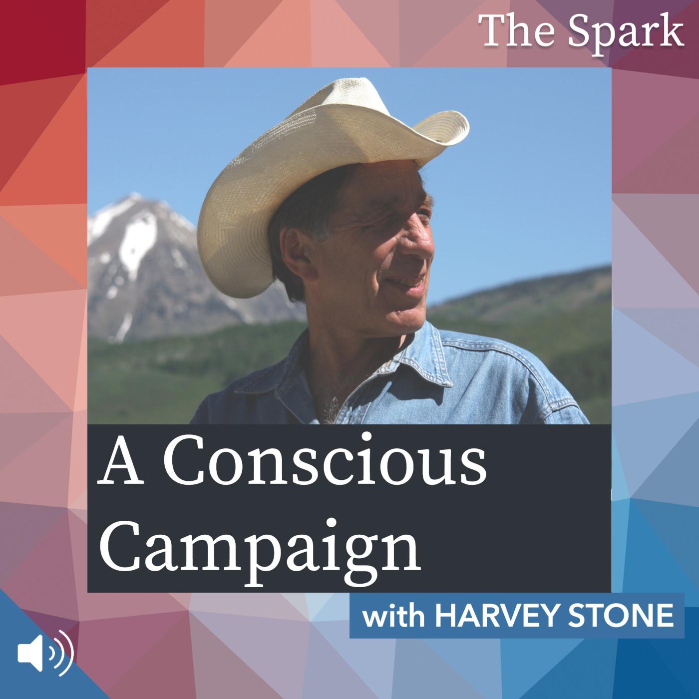 A Conscious Campaign with Harvey Stone